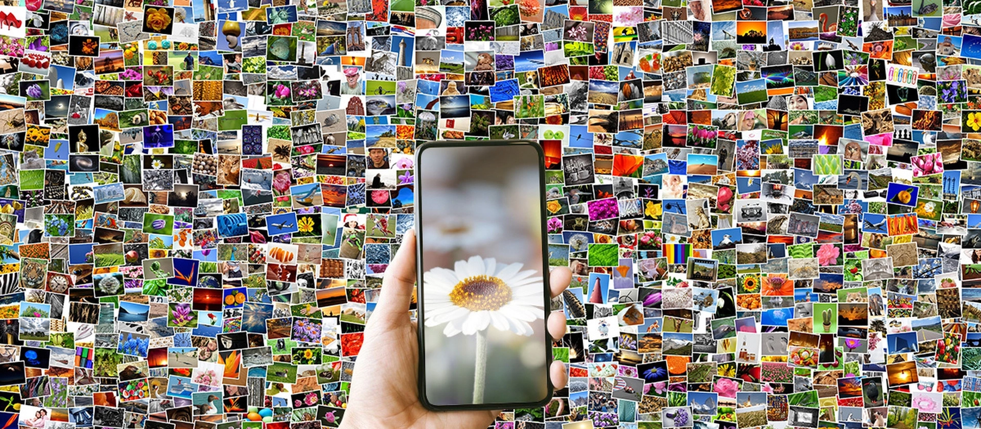 Eine Hand hält ein Smartphone mit einer weißen Blume auf dem Display, davor ein farbenfrohes Mosaik aus vielen kleinen Fotos als dichter Hintergrund.