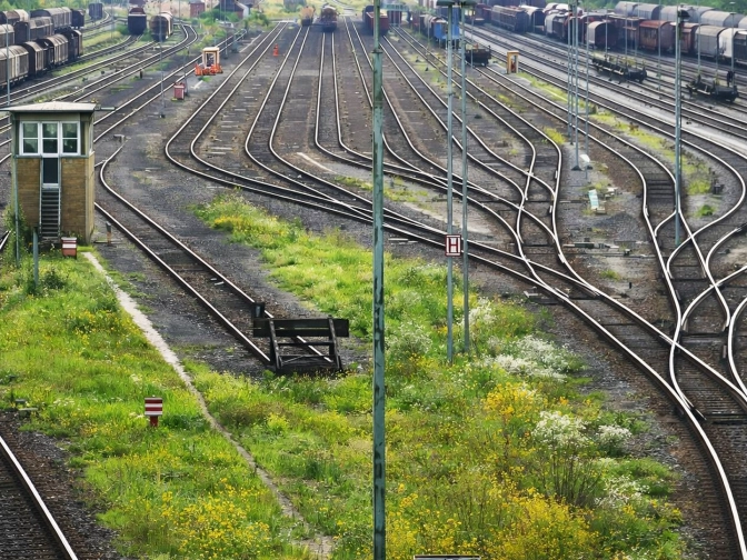 Weitläufiger Güterbahnhof mit zahlreichen sich verzweigenden Gleisen, abgestellten Güterwaggons und einem Stellwerk, eingebettet in grüne Vegetation unter ruhiger Atmosphäre.